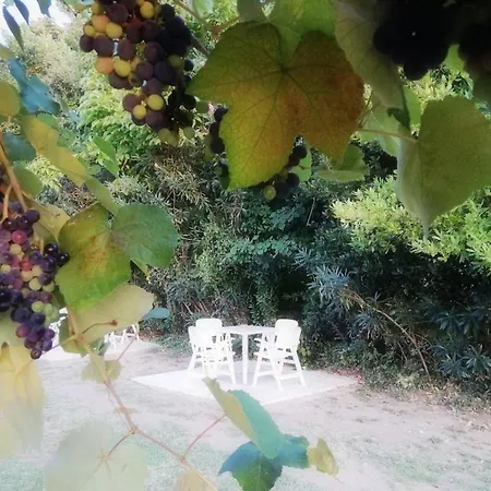 Chalkidiki Beach Front אולימפיאדה