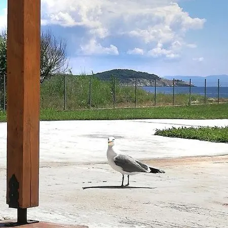 Chalkidiki Beach Front וילה *